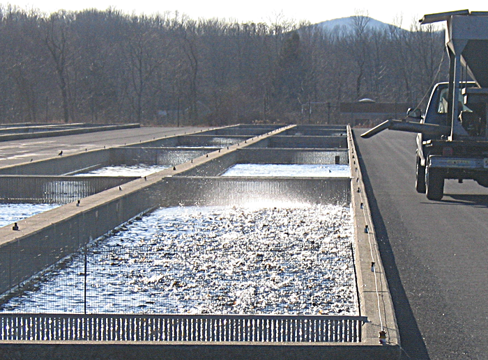 New Jersey Pequest Trout Hatchery Campbell system updates...